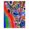 Rainbow Bloom