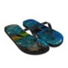 Here's an alt tag for the image: Cosmic nebula flip-flops.