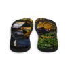 A pair of flip flops with pictures on them.