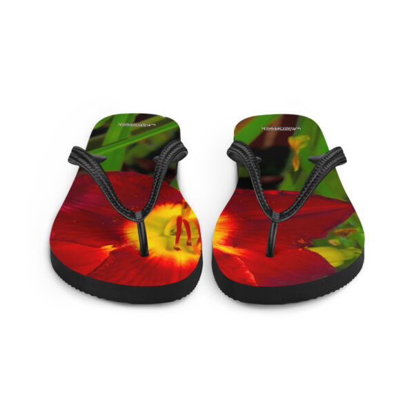 UNed Project 05 Flip-Flops - Image 4