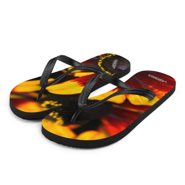 UNed Project 01 Flip-Flops v2 - Image 2