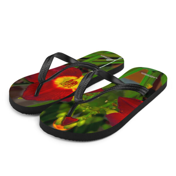 UNed Project 05 Flip-Flops v2 - Image 2