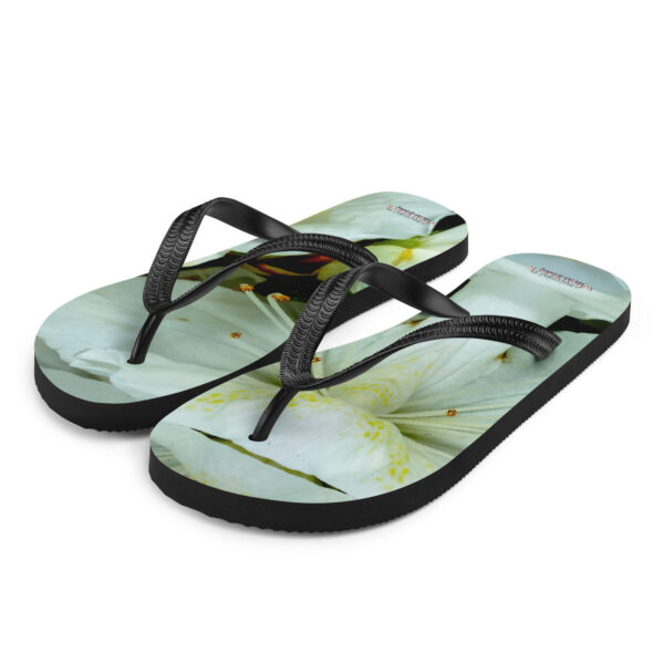 UNed Project 10 Flip-Flops - Image 2