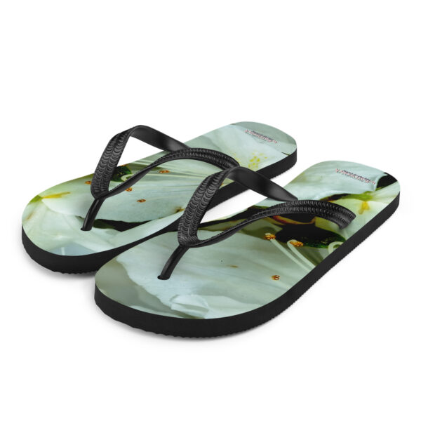 UNed Project 10 Flip-Flops v2 - Image 2