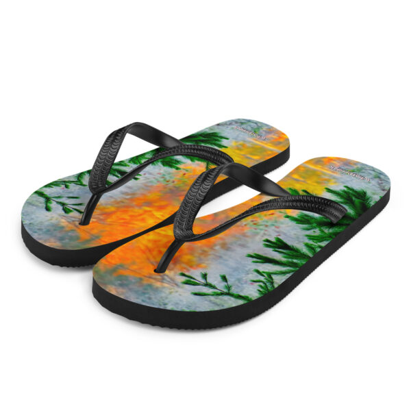 UNed Project 12 Flip-Flops v3 - Image 2