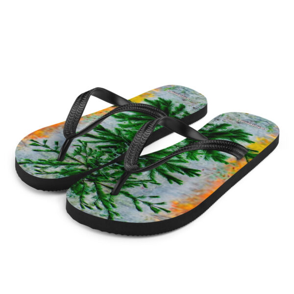 UNed Project 12 Flip-Flops v2 - Image 2