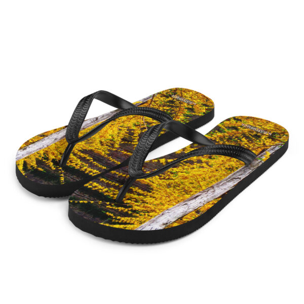 UNed Project 15 Flip-Flops v3 - Image 2