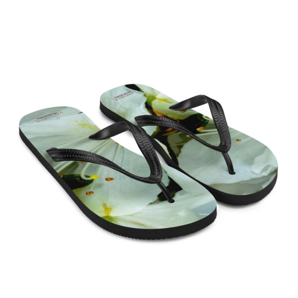 UNed Project 10 Flip-Flops v2 - Image 7