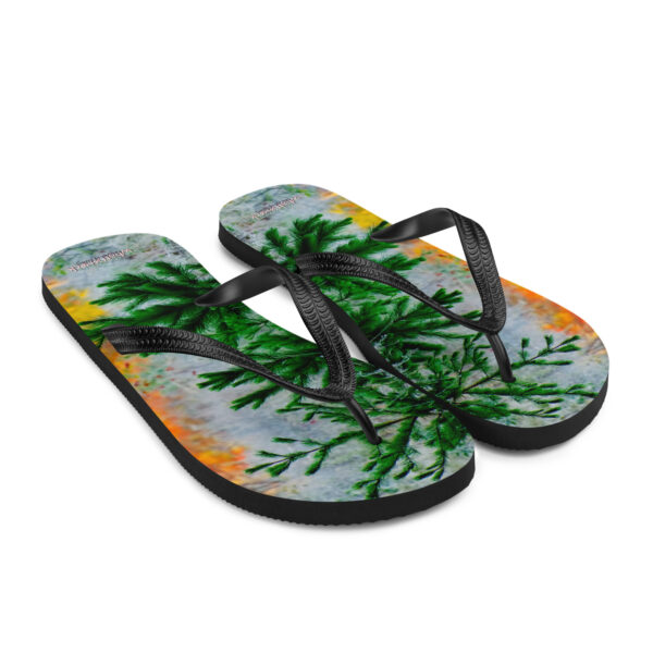 UNed Project 12 Flip-Flops v2 - Image 7