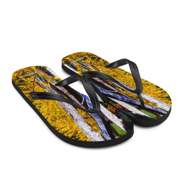 UNed Project 15 Flip-Flops v2 - Image 7