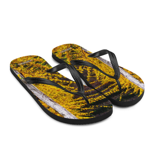 UNed Project 15 Flip-Flops v3 - Image 7