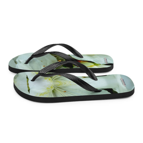 UNed Project 10 Flip-Flops - Image 5