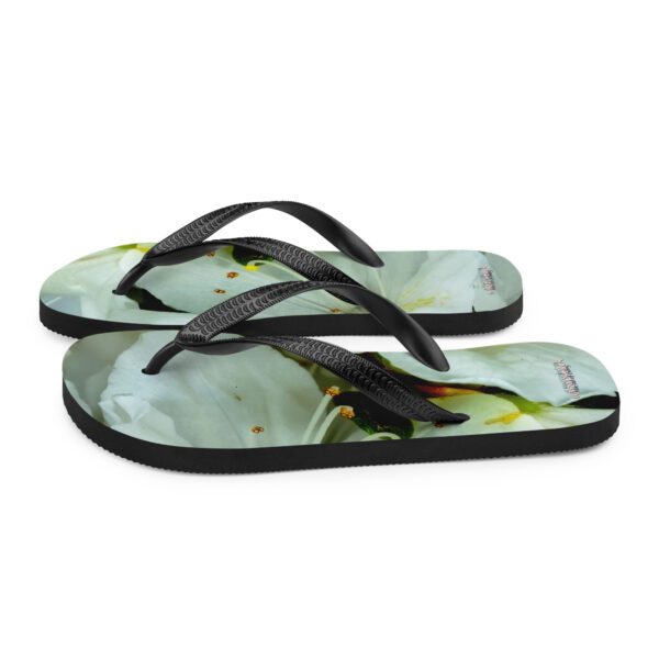 UNed Project 10 Flip-Flops v2 - Image 5