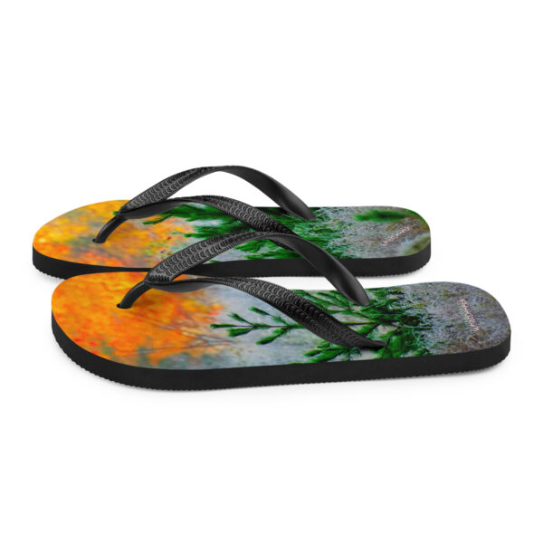 UNed Project 12 Flip-Flops - Image 5