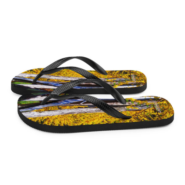 UNed Project 15 Flip-Flops v2 - Image 5