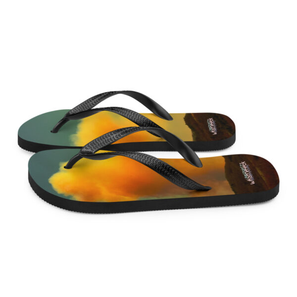 UNed Project 17 Flip-Flops - Image 5