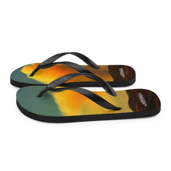 UNed Project 17 Flip-Flops v2 - Image 5