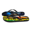 A pair of flip flops with different designs on them.