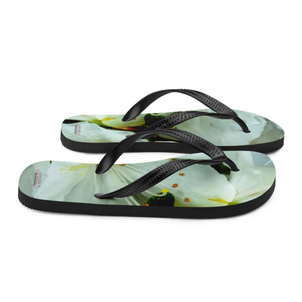 UNed Project 10 Flip-Flops v2 - Image 6