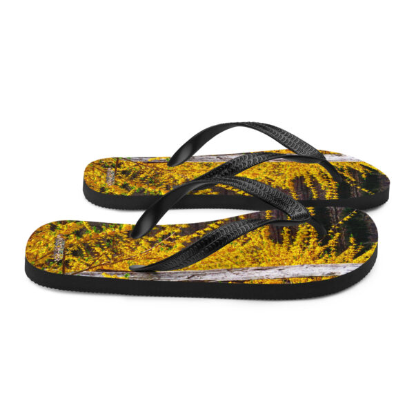 UNed Project 15 Flip-Flops v3 - Image 6