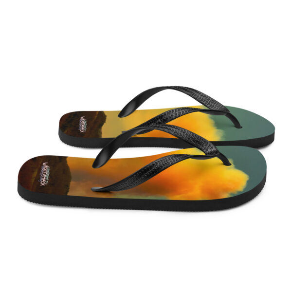 UNed Project 17 Flip-Flops v2 - Image 6