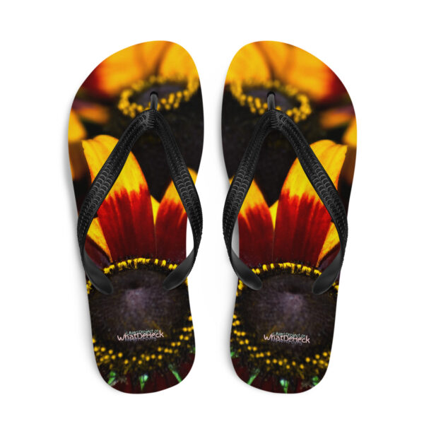 UNed Project 01 Flip-Flops