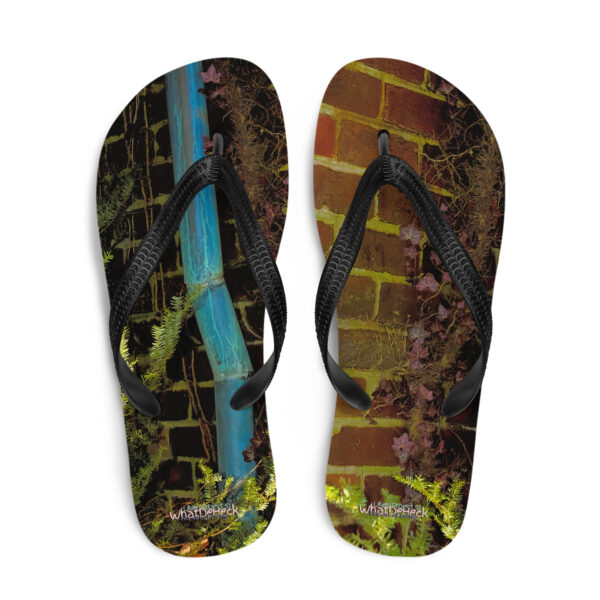 Uned Project 53 Flip-Flops v2