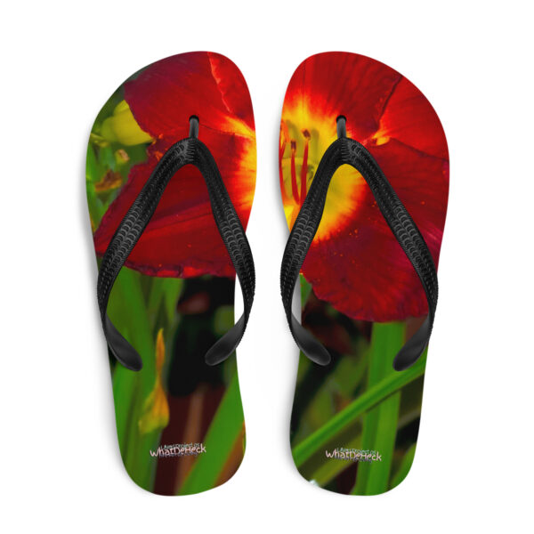 UNed Project 05 Flip-Flops