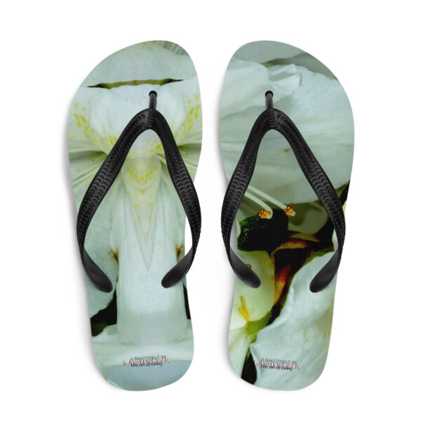 UNed Project 10 Flip-Flops