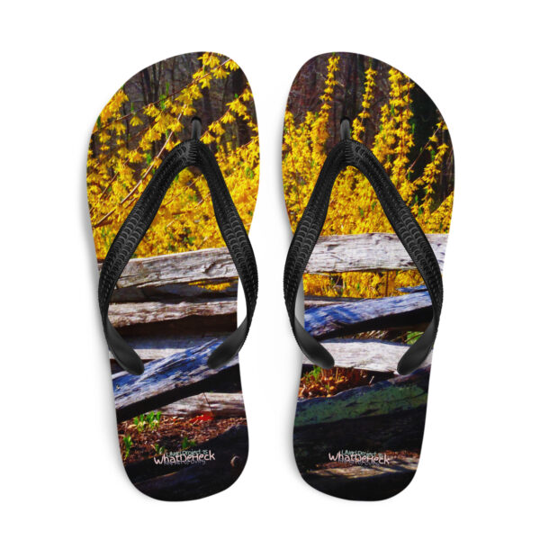 UNed Project 15 Flip-Flops