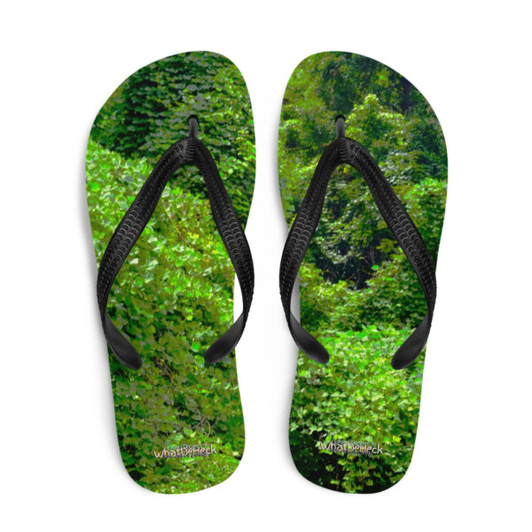 UNed Project 19 Flip-Flops