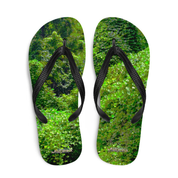 UNed Project 19 Flip-Flops v2