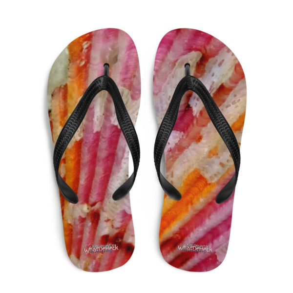 UNed Project 30 Flip-Flops