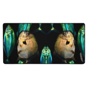 A fish is reflected in the mirror of this picture.