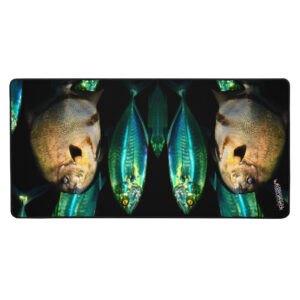 A picture of some fish in the dark.