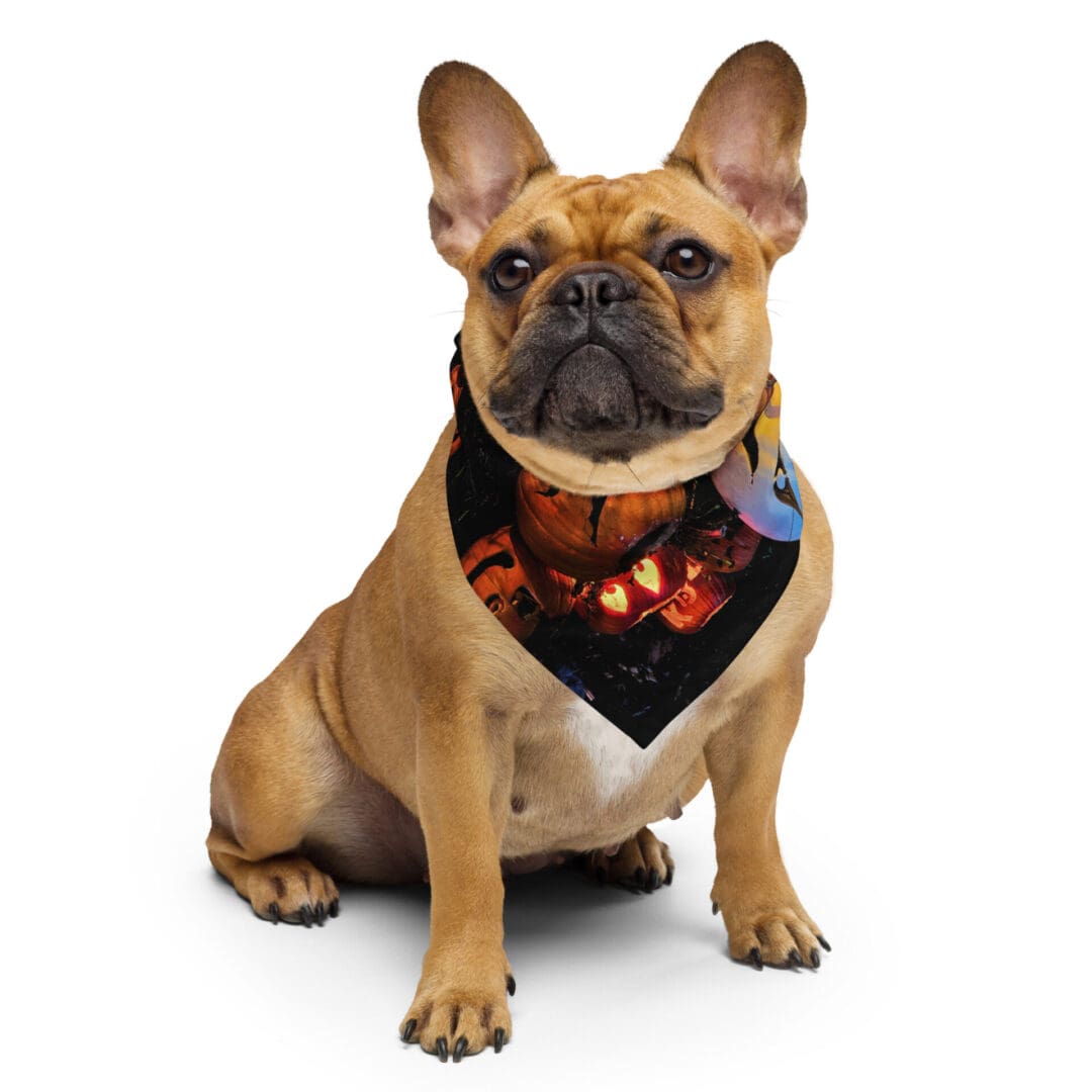 French bulldog wearing a Halloween-themed bandana.